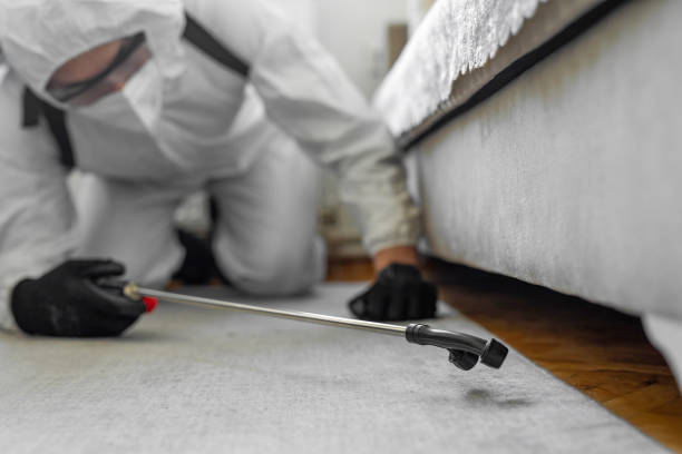 Professional Termite Control technician working in Perry, OK