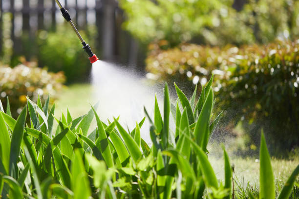 24/7 Emergency Termite Control experts in Perry, OK