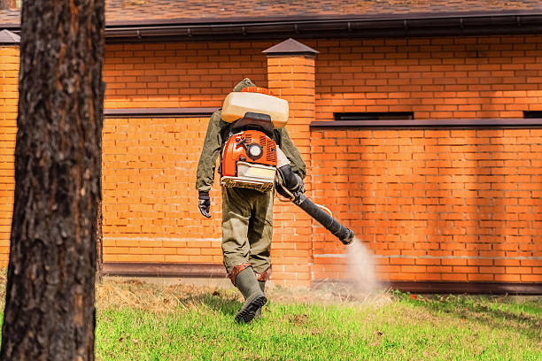 Top rated local Termite Control specialists in Perry, OK
